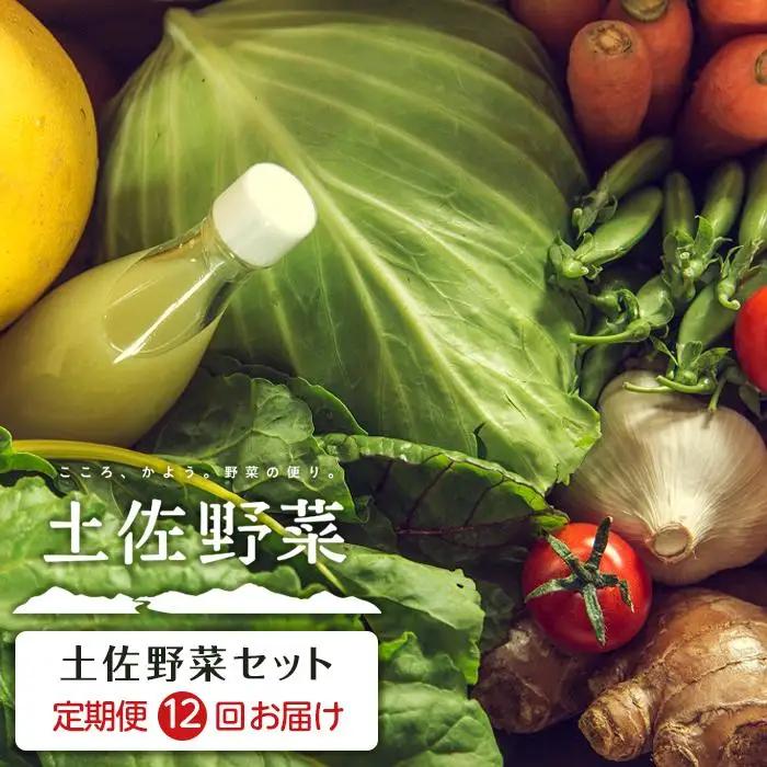 やさい 12回定期便 土佐野菜セット やさい