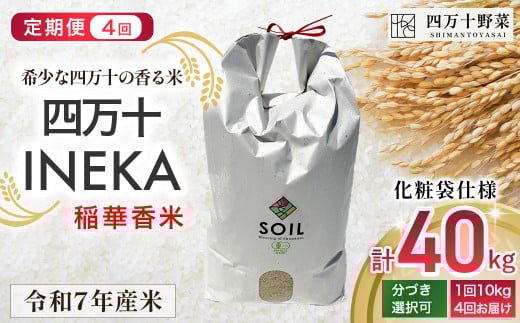 【新米予約】【有機玄米】希少な四万十の香る米 定期便4回（4か月） 10kg袋  四万十INEKA（稲華香米）化粧袋仕様 ／Fsg-03 小分け 便利 ブランド米 お米 米 香米 香る米 玄米 令和7年度産米 高知県 四万十町