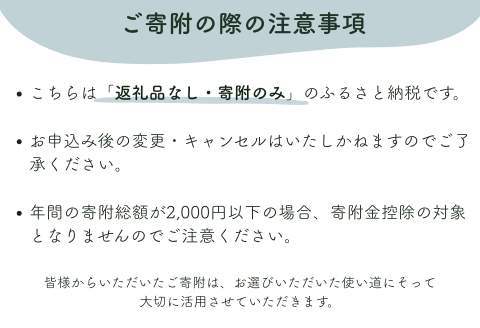 【返礼品なし】明日香村への寄附 1口：1,000円 寄付のみ 応援【ふるさと納税】