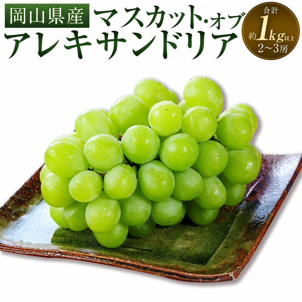 【ふるさと納税】マスカット・オブ・アレキサンドリア 2～3房（合計1.0kg以上） ぶどう ブドウ 葡萄 くだもの 果物 果実 フルーツ ギフト 贈答 冷蔵 岡山県産 国産 岡山県 奈義町 送料無料 【2026年8月下旬～9月下旬 発送予定】
