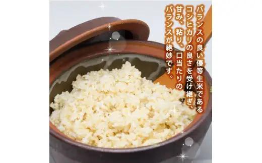 078-8-2【玄米】 ひとめぼれ 玄米 ｜ 10kg 令和8年産 玄米 静岡県 牧之原市 大石農園