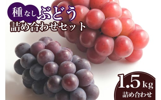 【 2025年 先行予約 】 種なし ぶどう 詰合せ 1.5kg 石田ぶどう園 2房 ～ 5房 詰め合わせ おまかせ お任せ ぶどう ブドウ 国産 果物 葡萄 種無し フルーツ 1.5キロ 9月 10月 発送 秋 旬 品種 茨城県産 産地直送 産直 農家直送 冷蔵 茨城県 石岡市 (A02-016)