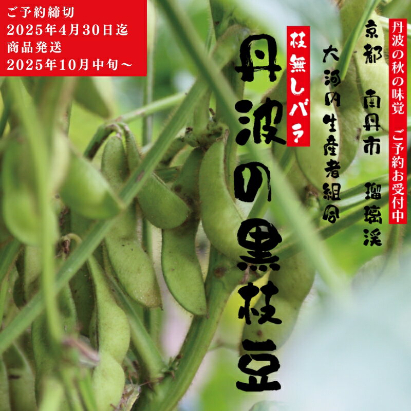 【ふるさと納税】枝豆 京都 2026年 先行予約 丹波黒枝豆 バラ 約500g るり渓 大河内生産組合発 丹波 野菜 国産 生 黒枝豆 おつまみ えだまめ エダマメ 先行 ※北海道・沖縄・離島への発送不可 　お届け：※2026年10月中旬より発送いたします