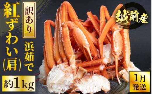  [冷蔵便] 【訳あり】≪浜茹で≫越前産 紅ずわいがに 肩 約 1kg【紅ズワイガニ ボイル 蟹 かに カニ 福井県】【1月発送】 [e22-x010_01]