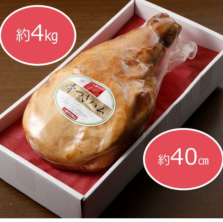 【ふるさと納税】十勝骨付きハム【3.8kg以上】口コミ高評価4.7 北海道 ハム 豚肉 肉 豚 国産 北海道産 北海道産豚 厳選 人気 おすすめ 冷蔵 十勝 池田町 パーティー ギフト 贈答 ふるさと納税 送料無料 お取り寄せ グルメ
