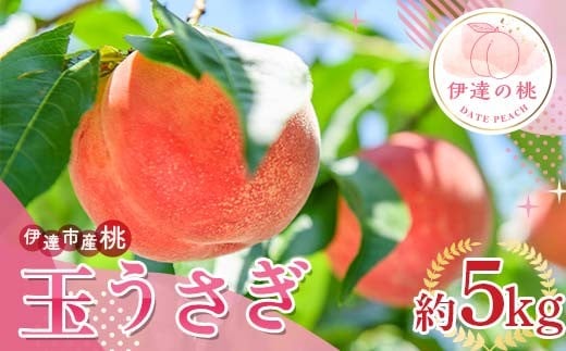 
            【2026年出荷分先行予約】福島県産 玉うさぎ 約5kg (10～18玉) サトー農園 新品種 たまうさぎ 固め 伊達の桃 桃 フルーツ 果物 もも モモ momo F20C-834
          