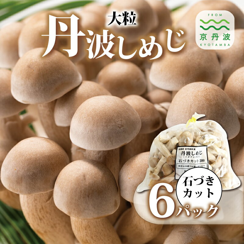 【ふるさと納税】大粒丹波しめじ 石づきカット 6袋セット （ 国産 京都 きのこ キノコ 丹波 しめじ はたけしめじ 大粒 カット 食感 シャキシャキ 天ぷら 鍋 炒め物 ） 新生活応援 ※北海道・沖縄・その他離島への配送不可