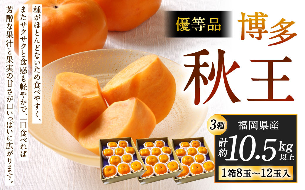 
            福岡県産 博多秋王【優等品】 計約10.5kg以上【約3.5kg以上（8玉～12玉入り） ×3箱】【2025年11月上旬～11月下旬発送予定】柿 かき 果物 フルーツ くだもの 先行予約
          
