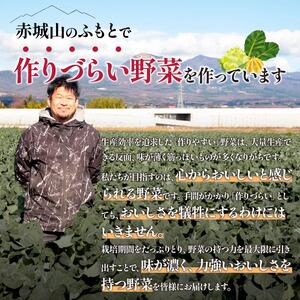 西洋野菜 良農園 旬野菜ギフト8～10品