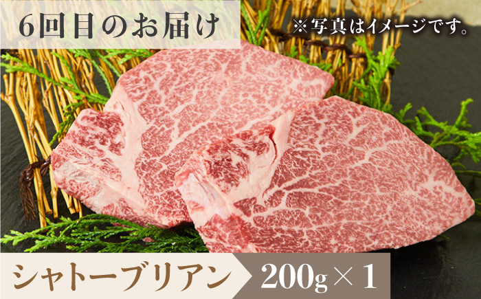 ＜6回定期便＞佐賀牛希少部位～ひとり贅沢ステーキコース～ イチボ/ランプ/ミスジ/クリ/サーロイン/シャトーブリアン【ミートフーズ華松】 [FAY069]