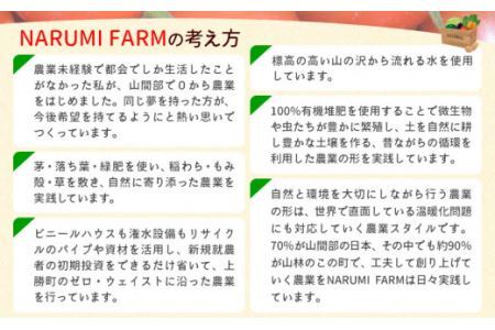 山茶 蓬 1パック NARUMIFARM《30日以内に出荷予定(土日祝除く)》お茶 茶 ハーブティー 自然栽培 ブレンドティー ブレンド オーガニック 飲料 飲み物 お家時間 徳島県 上勝町 送料無料