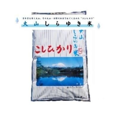 ふるさと納税 米子市 令和7年産 大山しらゆき米10kg(精白、コシヒカリ)