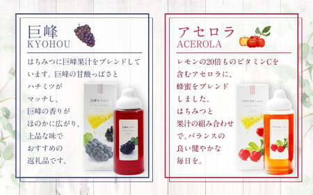 熊本 杉養蜂園 【ゆず蜜×ブルーベリー】果汁入り はちみつ 500g 2種 計1kg 食べ比べ 蜂蜜