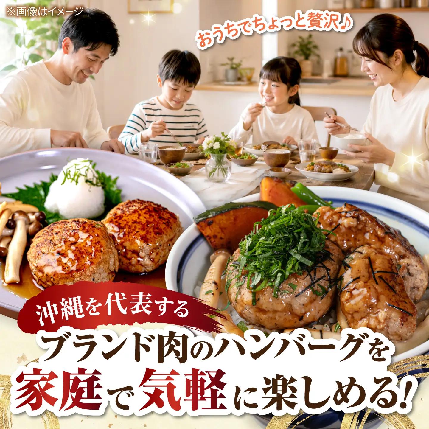 アグー豚ハンバーグ 100g×4個 冷凍ハンバーグ あぐー豚 BCAZ006