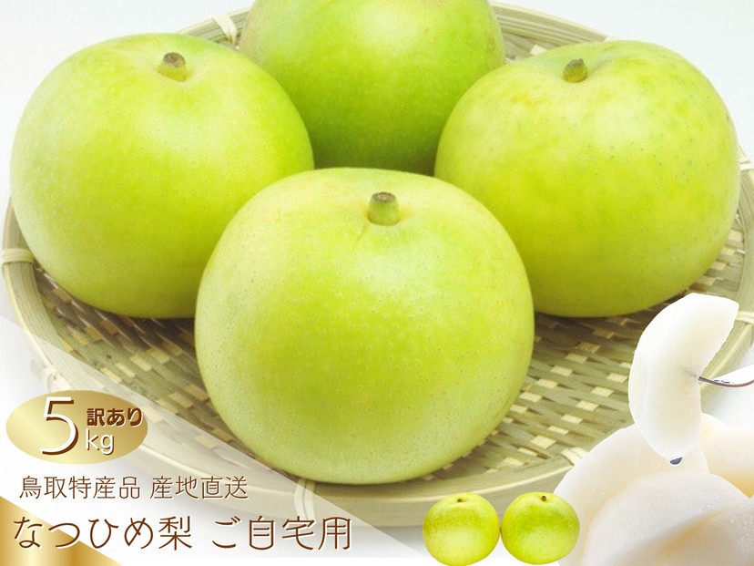 
                  数量限定 鳥取県産 梨 訳あり ご自宅用 なつひめ 5kg【梨 なし ナシ なつひめ 青梨 赤梨 5kg 5キロ しゃきしゃき シャキシャキ 限定 自宅用 家庭用 甘い さわやか 爽やか 高品質 国産 鳥取県産 人気 おすすめ 鳥取県 琴浦町 送料無料】
                