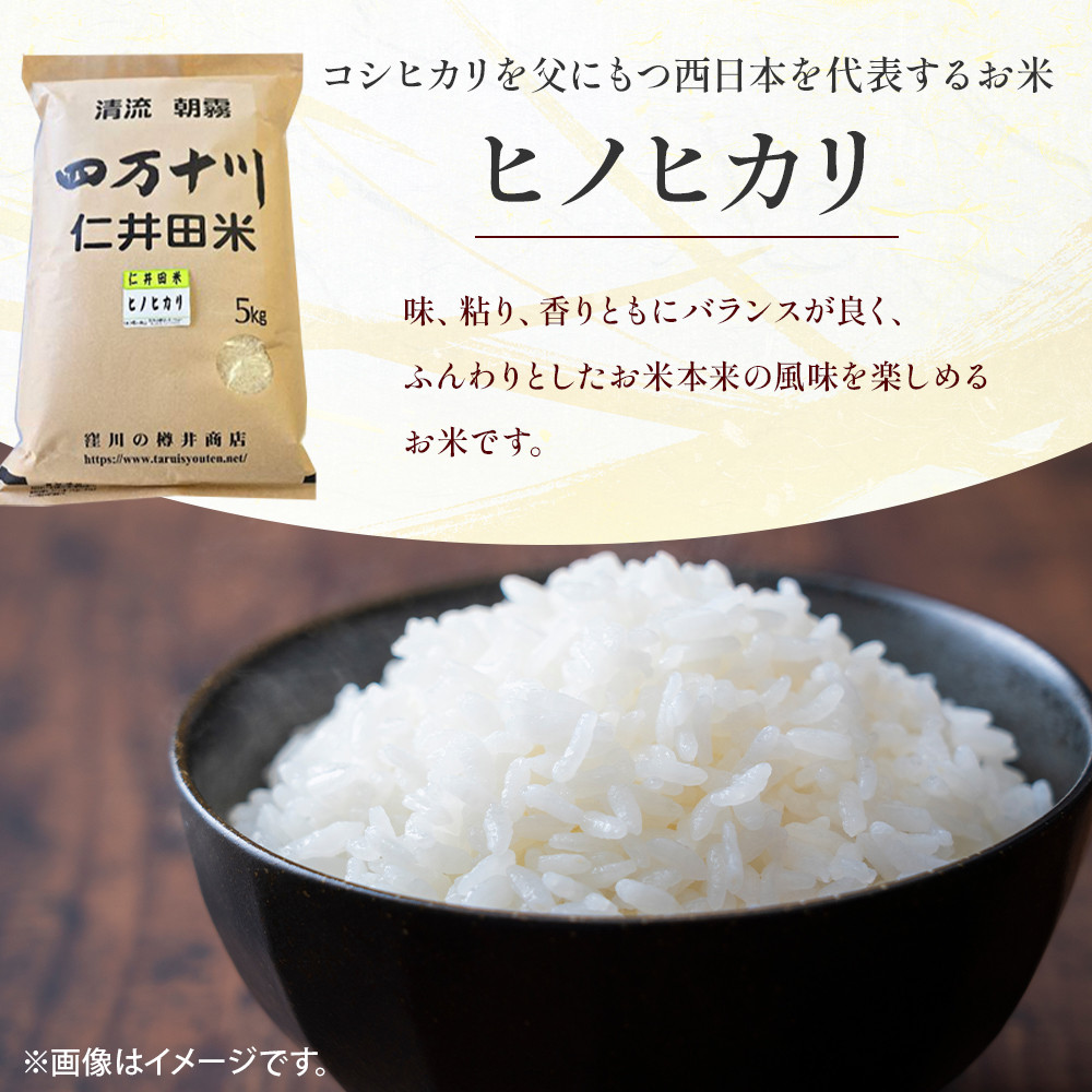 粒ぞろいが良く、粘りがあり、モチモチした食感です