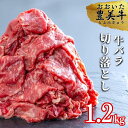 【ふるさと納税】牛肉 切り落とし バラ (600g×2パック) 計1.2kg おおいた豊美牛 国産牛 九州産 肉 やわらか ブランド牛 冷凍