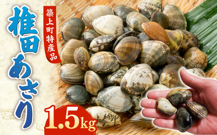 
                  【令和6年4月頃発送予定】特産 椎田 あさり 1.5kg《築上町》【築上町蓄養殖部会】アサリ 活あさり [ABAY002] 14000 14000円
                