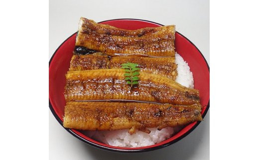 炭焼きうなぎ蒲焼　大サイズ2尾セット（約150～199g×2尾）タレ・粉山椒付き　国産鰻　冷凍ウナギ　1尾ずつ真空パック　土用の丑の日　紀伊国屋文左衛門本舗_V6206