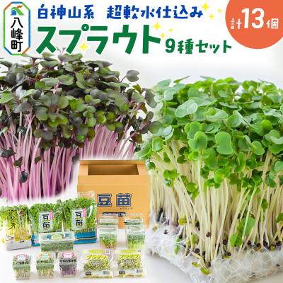ふるさと納税 八峰町 スプラウト、かいわれ等9種セット【白神山系　超軟水仕込み】　計13個|16_mtn-030101