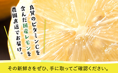 ノーワックス 観音山レモン4kg