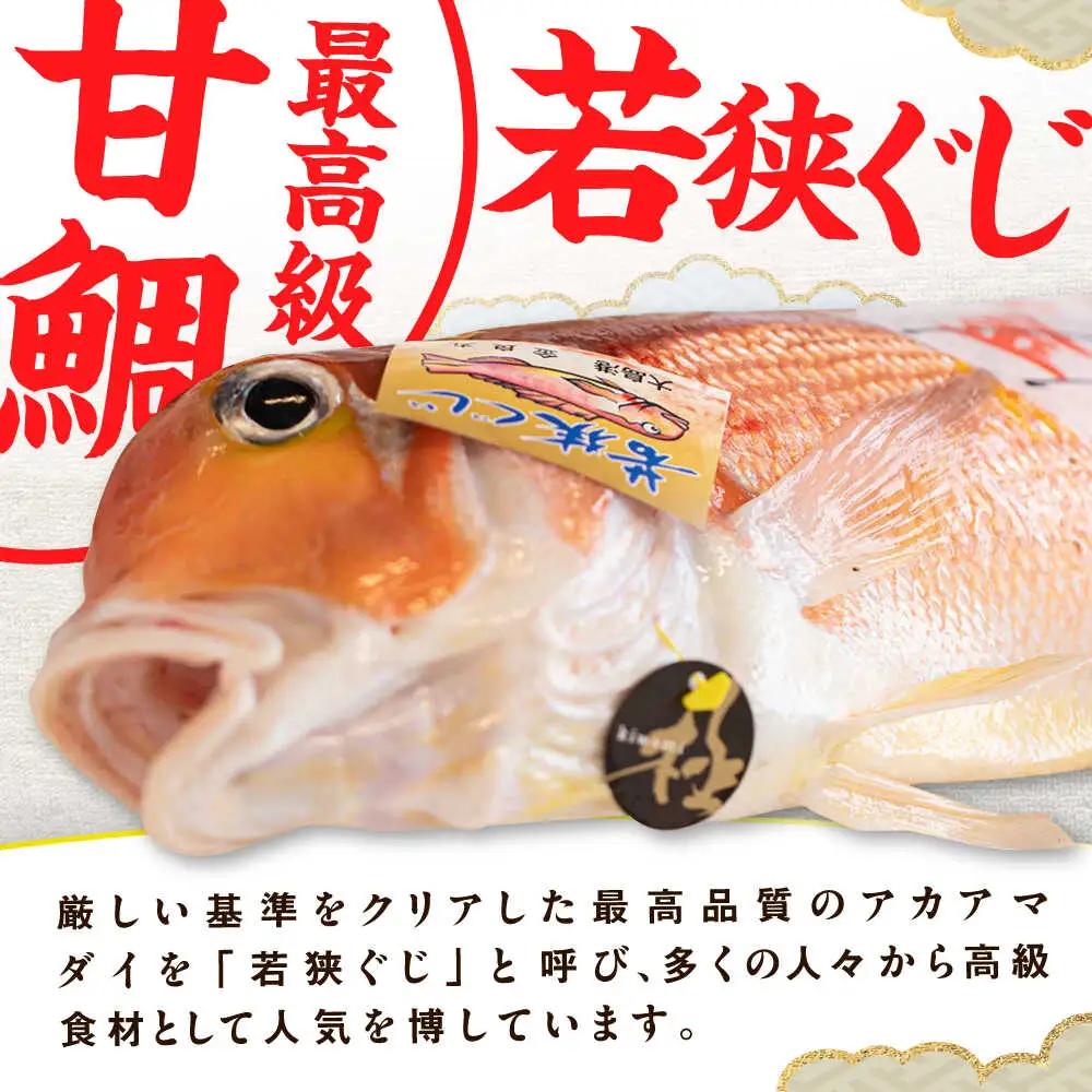 【加福鮮魚】若狭ぐじ 一汐開き 1尾 800g　甘鯛 タイ アカアマダイ 焼き魚 高級 小浜市 / 加福鮮魚【配送不可地域：北海道・沖縄・離島】  [BFBC001] 