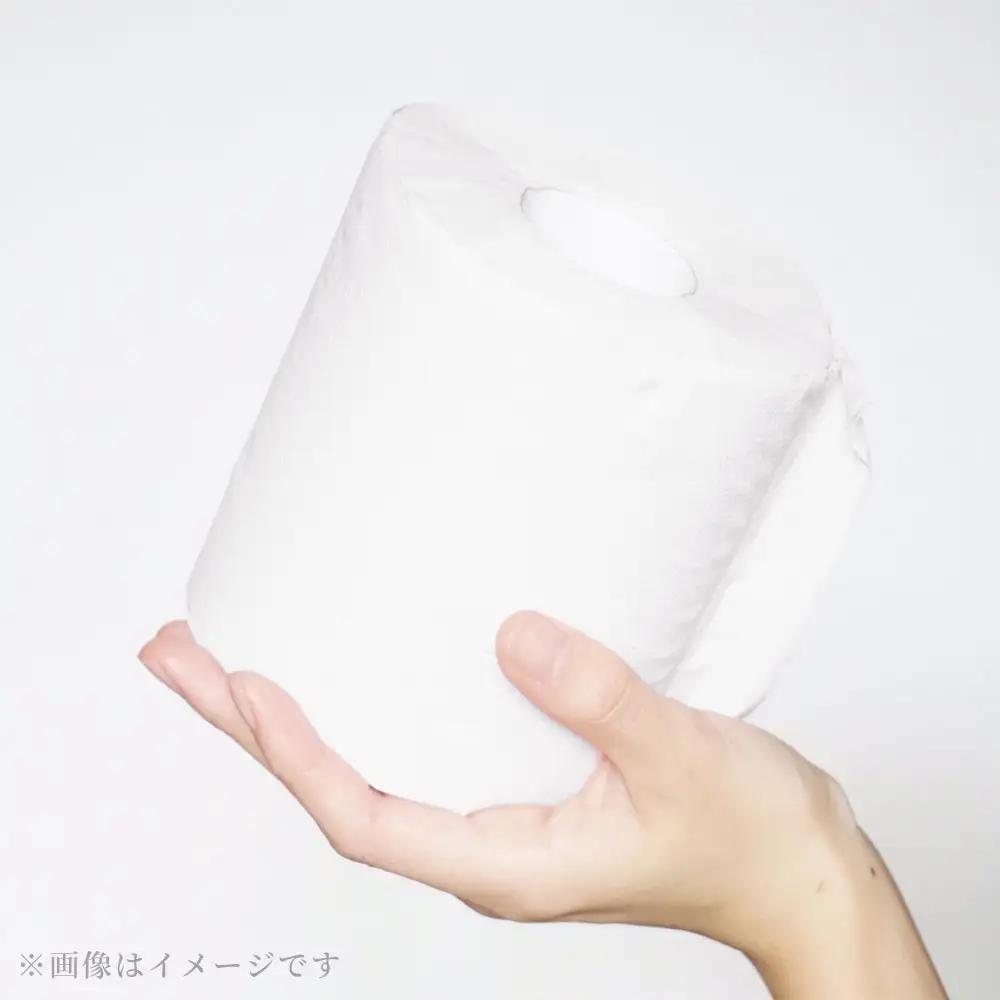 トイレットペーパー ふんわりやわらかいトイレットペーパー ダブル 30m×30ロール 高知県土佐市 【株式会社カルタス】 [BQBS002]