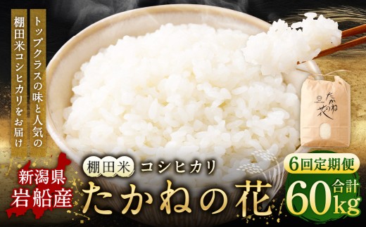 【令和7年産米】【定期便：6ヶ月連続でお届け】新潟県村上市岩船産 棚田米コシヒカリ「たかねの花」 10kg×6ヶ月　1104006
