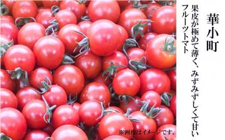 トマト 1箱 約30個～36個 かがやき トマト 【先行予約】令和8年