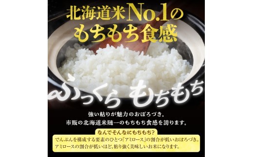 【定期便全6回】新米 令和8年産 川越さんちの おぼろづき 5㎏×1袋 毎月1回お届け R8U009-012