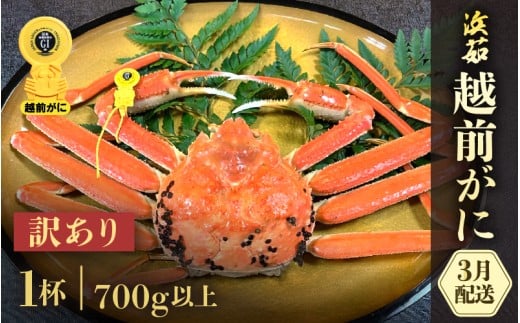 【訳あり】≪浜茹で≫越前がに  1杯（生で700g前後）【雄 ズワイガニ かに カニ 蟹 越前ガニ 姿 ボイル 冷蔵 福井県】【3月発送分】希望日指定可 備考欄に希望日をご記入ください [e68-x006_03]