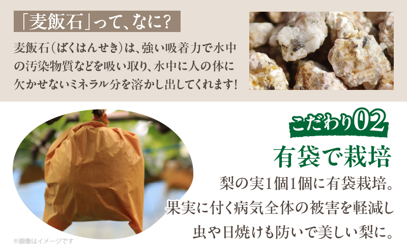 先行予約≪期間限定≫まるみ観光果樹園の『豊水梨』(約3kg) なし 果物 フルーツ 天然 ミネラル栽培_T036-001