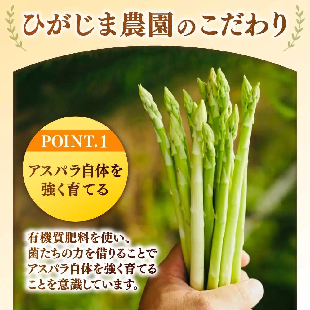 【先行予約 2027年3月～発送】春芽アスパラガス 約1kg / アスパラ [ICW001]