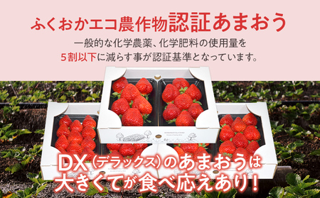 ふくおかエコ農作物認証あまおう DX等級のみ 2箱セット あまおう イチゴ 苺 いちご フルーツ 果物 くだもの 福岡県産 お取り寄せグルメ お取り寄せ 福岡 お土産 九州 福岡土産 取り寄せ グルメ