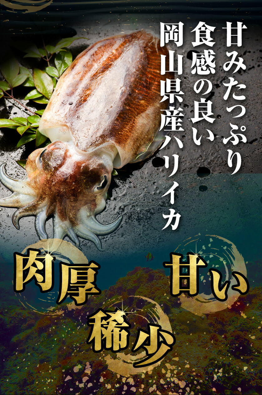 炊き込みご飯 寄島 漁港の釜飯 いかめし 220g×2個 3回 （製造地：岡山県浅口市）ハレノヒ良品(まからずやストアー)《申込み月の翌月から発送》岡山県 浅口市 イカ 釜めし セット【配送不可地域あ