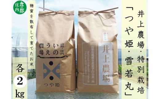 食の都庄内　【令和7年産・無洗米（精米）】特別栽培米食べ比べセット（つや姫＆雪若丸）各2kg《井上農場》