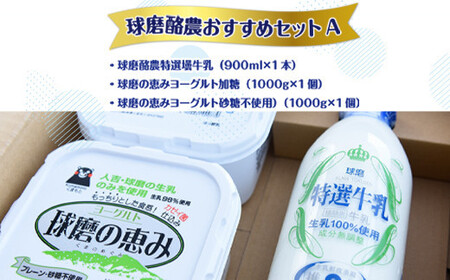 【12ヶ月定期便】球磨酪農おすすめセットA（瓶牛乳&amp;ヨーグルト加糖・砂糖不使用）