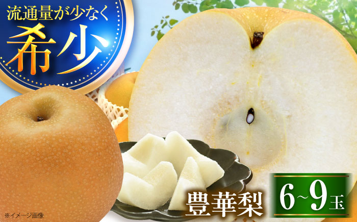 稲田ペアファームの豊華梨 （ゆたかなし） 6～9玉 〈2026年9月～発送〉 ／ フルーツ 果物 くだもの 食品 人気 おすすめ 梨 なし ゆたか 和梨 甘い 旬 ふるさと納税 【株式会社内子フレッシュパークからり】 [BKAD025]