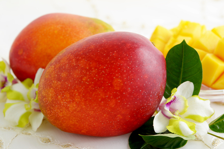 【2025年発送】太陽ファームの採れたてマンゴー1kg（秀品）