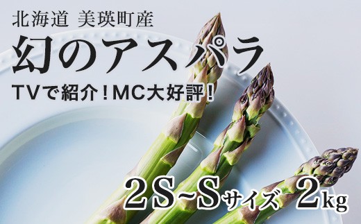 
                  【令和9年産先行予約】幻のアスパラ 2S～Sサイズ 2kg ラスノーブル 令和9年産 北海道 美瑛町 本山農場 グリーンアスパラ | グリーン アスパラガス アスパラ あすぱら あすぱらがす 採れたて ギフト 贈答 新鮮 旬 産地直送 野菜[016-109]
                