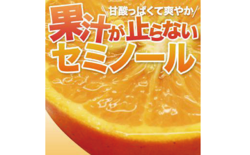 
【先行予約】石本果樹園の美味しいセミノール 約4kg入り(30～35玉前後)【2025年4月中旬から5月中旬までに順次発送】 / みかん フルーツ くだもの 果物 セミノール
