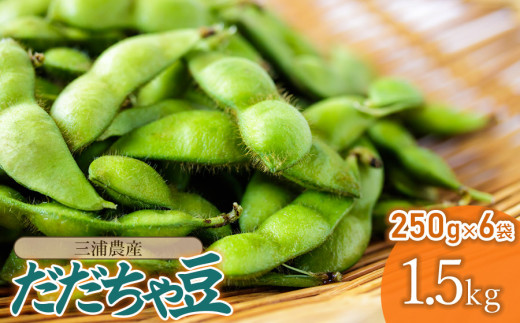 【令和8年産先行予約】 だだちゃ豆 約1.5kg (250g×6袋) 　山形県鶴岡市　三浦農産　| だだちゃ豆 枝豆 えだまめ 豆 1.5キロ 夏の味覚 おつまみ 旬の野菜 期間限定 名産品 ビールのお供 手土産 山形県 庄内 東北 返礼品