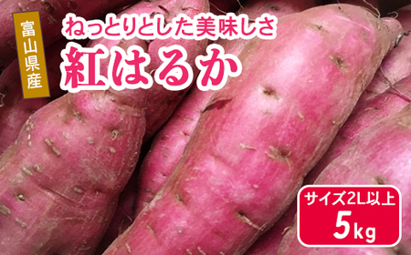 富山県魚津産さつまいも 紅はるか 5kg サイズ2L以上｜長引野 黒ボク土 ねっとり 土付 ※北海道・沖縄・離島への配送不可