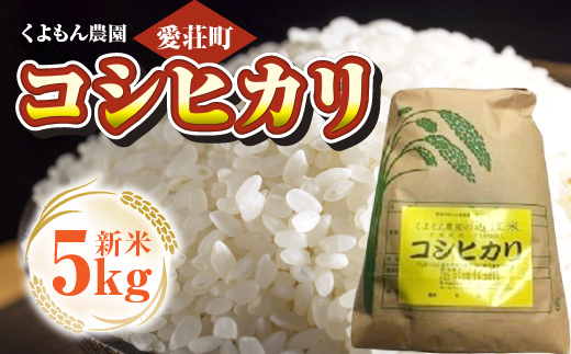 くよもん農園 愛荘町産 コシヒカリ 5kg 令和6年産　白米 精米　AG02