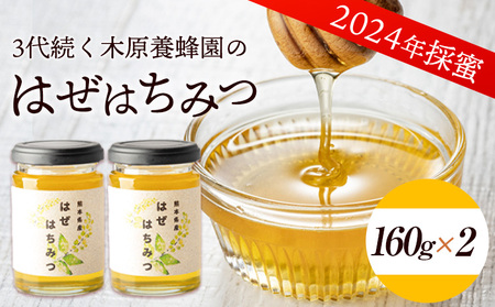 はぜはちみつ 160g×2個 320g 蜂蜜 国産 熊本県荒尾市産 純粋蜂蜜 木原養蜂園《30日以内に出荷予定(土日祝除く)》