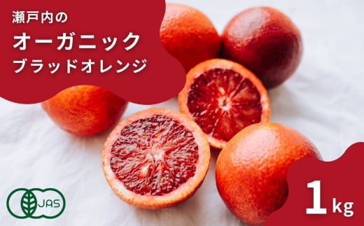 [予約] 2〜3月発送 オーガニックブラッドオレンジ 約1kg (8~12個程度) 国産 有機JAS認証 瀬戸内 広島 大崎上島 離島 有機栽培 柑橘 果物 オーガニック フルーツ ギフト 防腐剤不使用 ワックス不使用 無添加 安全 安心 送料無料 産地直送 中原観光農園
