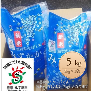 【新米】【7年産】 近江米 みずかがみ 白米 5kg 【FM05W】