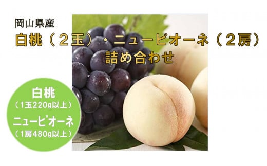 
岡山県産フルーツ詰合せ／白桃２玉（１玉220g以上）・ニューピオーネ２房（１房480g以上）（WFH）
