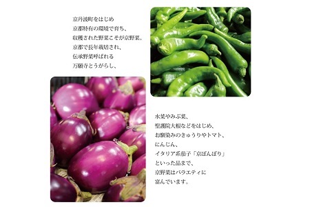 旬の京野菜　レギュラーコース 《 野菜詰め合わせ 野菜セット 京野菜 旬の野菜 新鮮野菜 有機野菜 減農薬 》 ※沖縄・その他離島は配送不可 [011KH001]