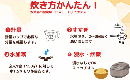 先行予約販売★自然栽培米★新米【令和6年産】玄米 奥大和高原米2kg ９月末より順次発送,自然栽培米,新米,令和6年産,玄米,奥大和高原米,農家やまおか,無農薬,国産,お米,奈良県,宇陀市無農薬